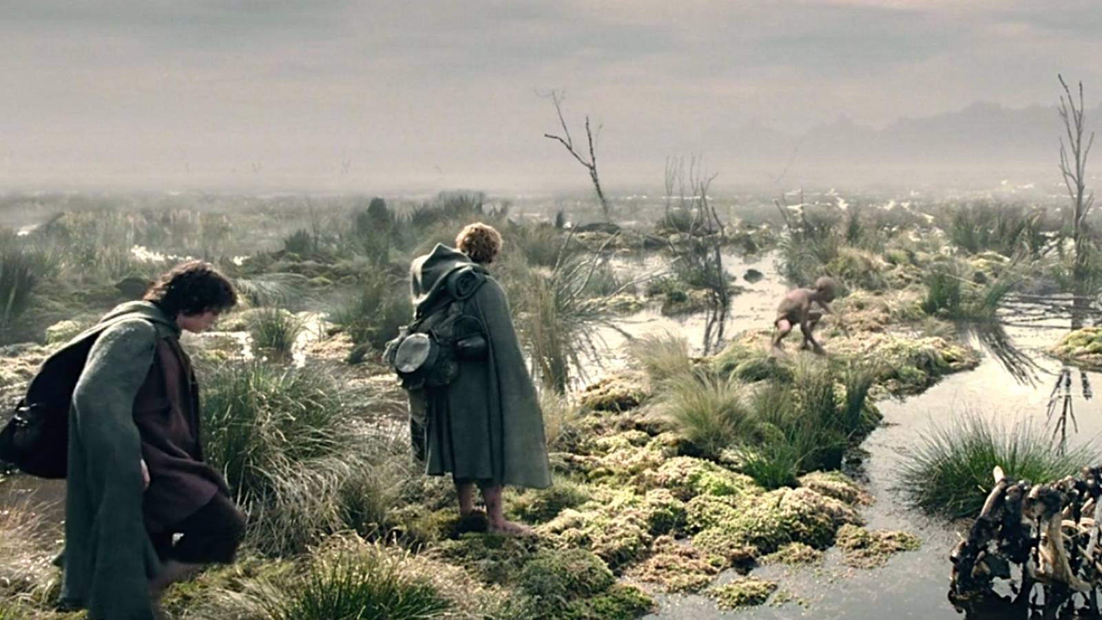 Frodo Dead Marshes