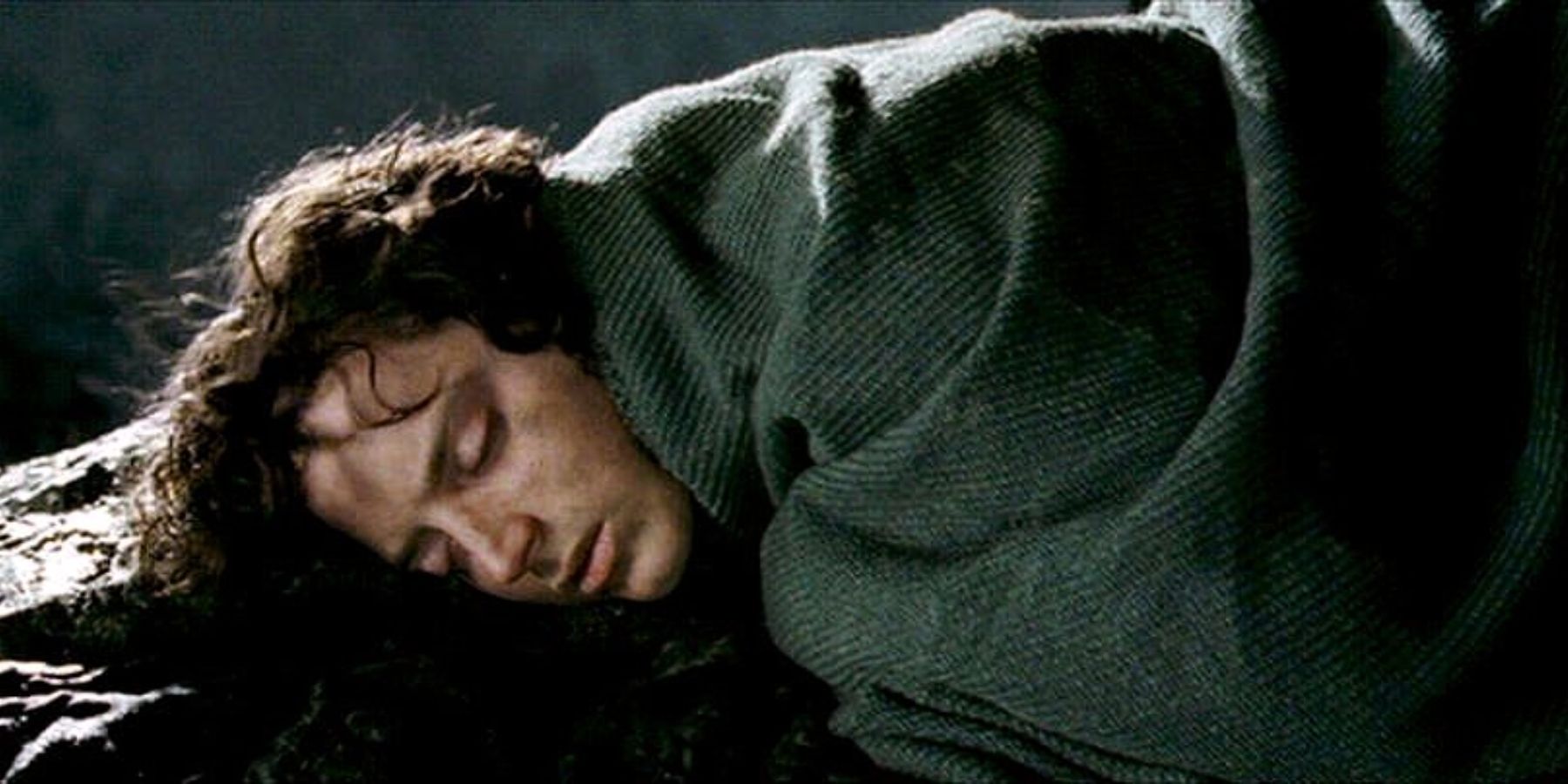 Frodo Sleeping