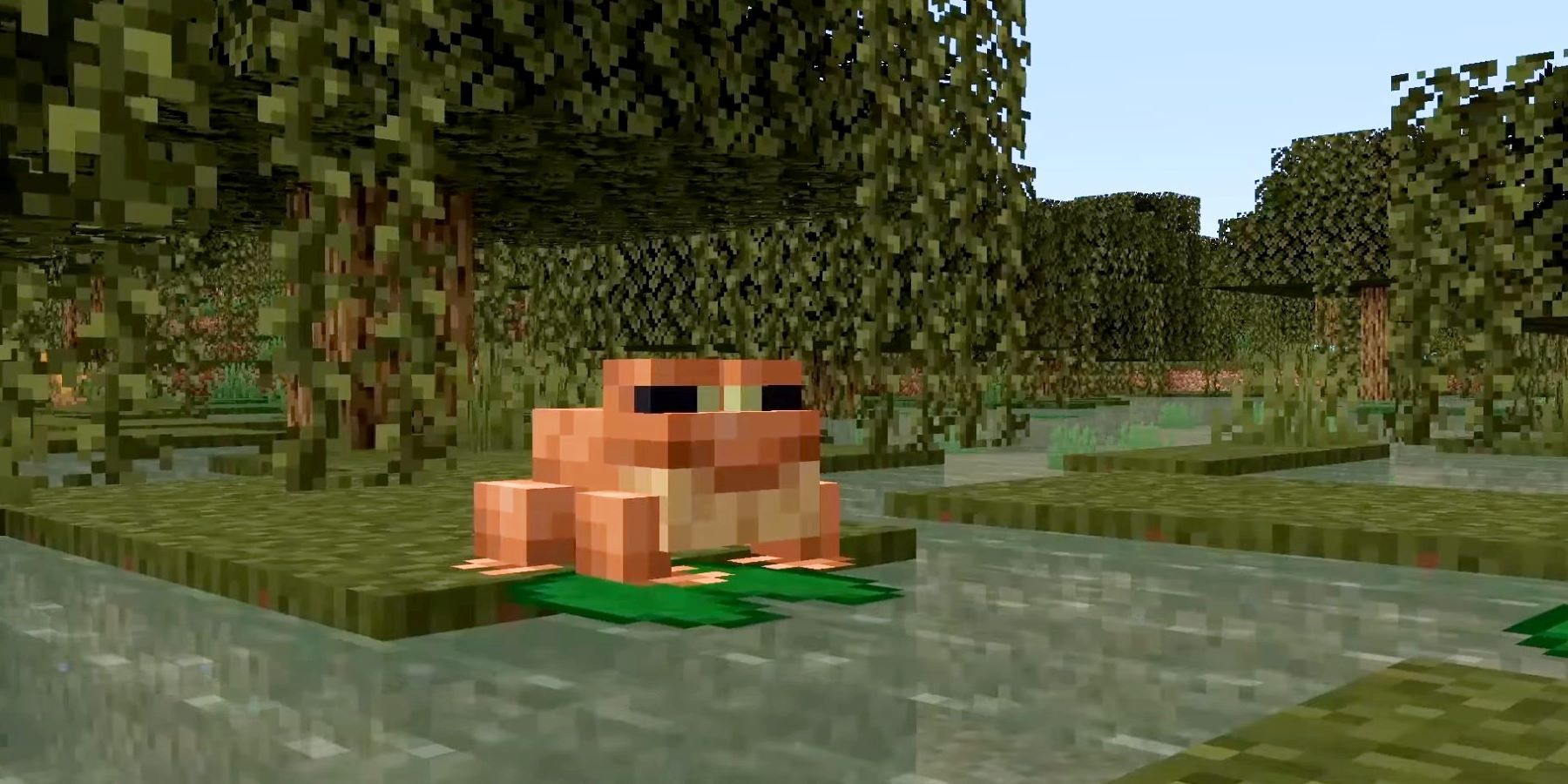 A frog from Minecraft's Wild Update sitting on a lily pad in a swamp