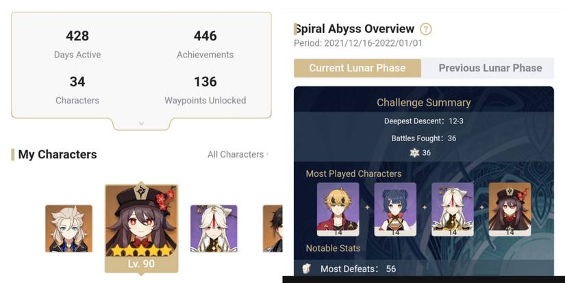 Genshin Impact Battle Chronicle