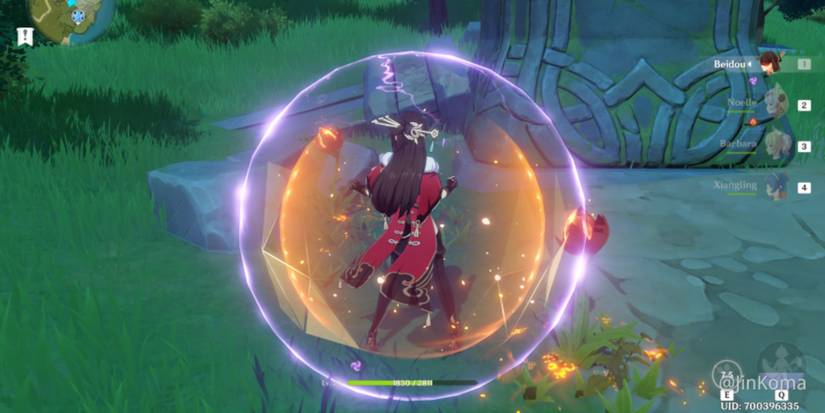 Genshin Impact Shield In Use