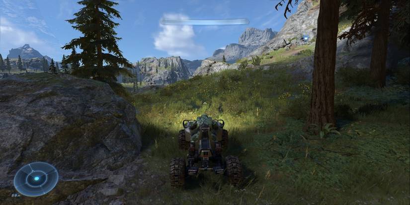 Driving a Mongoose in Halo Infinite