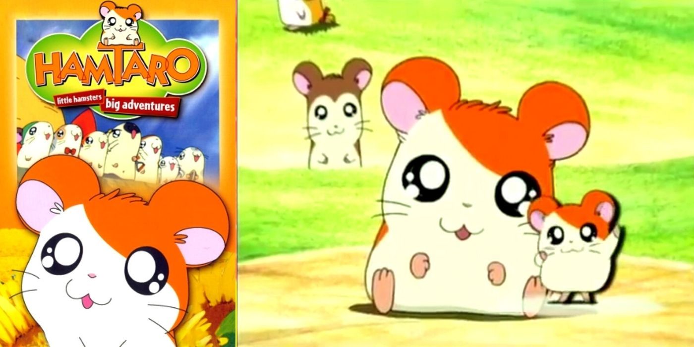 Hamsters Characters | Anime-Planet