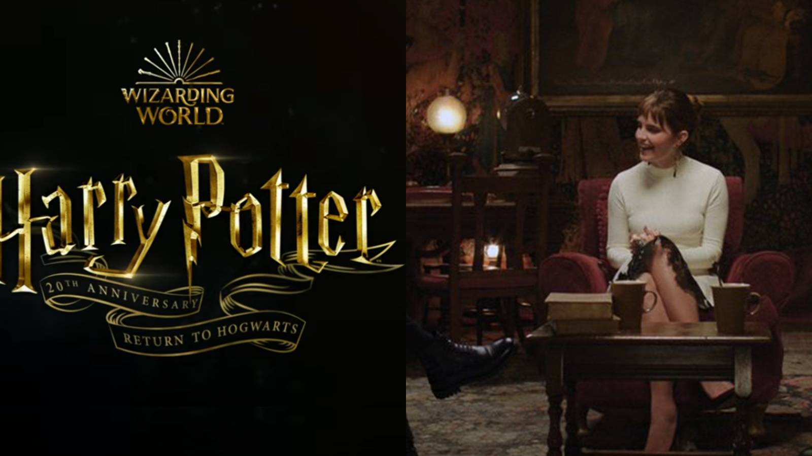 Harry Potter Reunion Daniel Radcliffe Emma Watson Rupert Grint