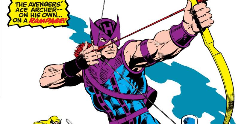 Hawkeye Classic Costume Cropped