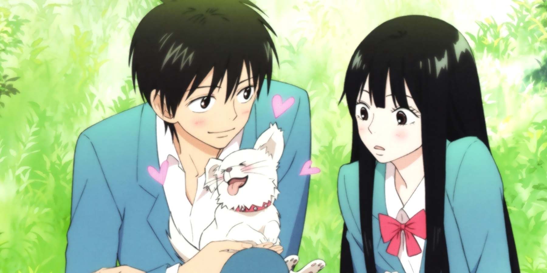 Pin by Dani on Anime | Best romance anime, Anime romance, Anime shows