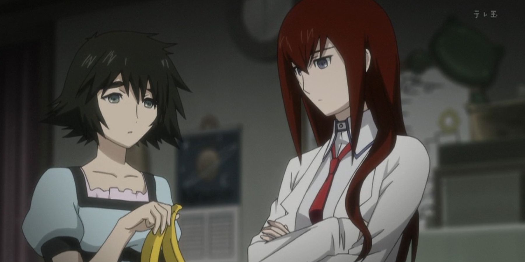 Mayuri and Kurisu in the Steins Gate anime