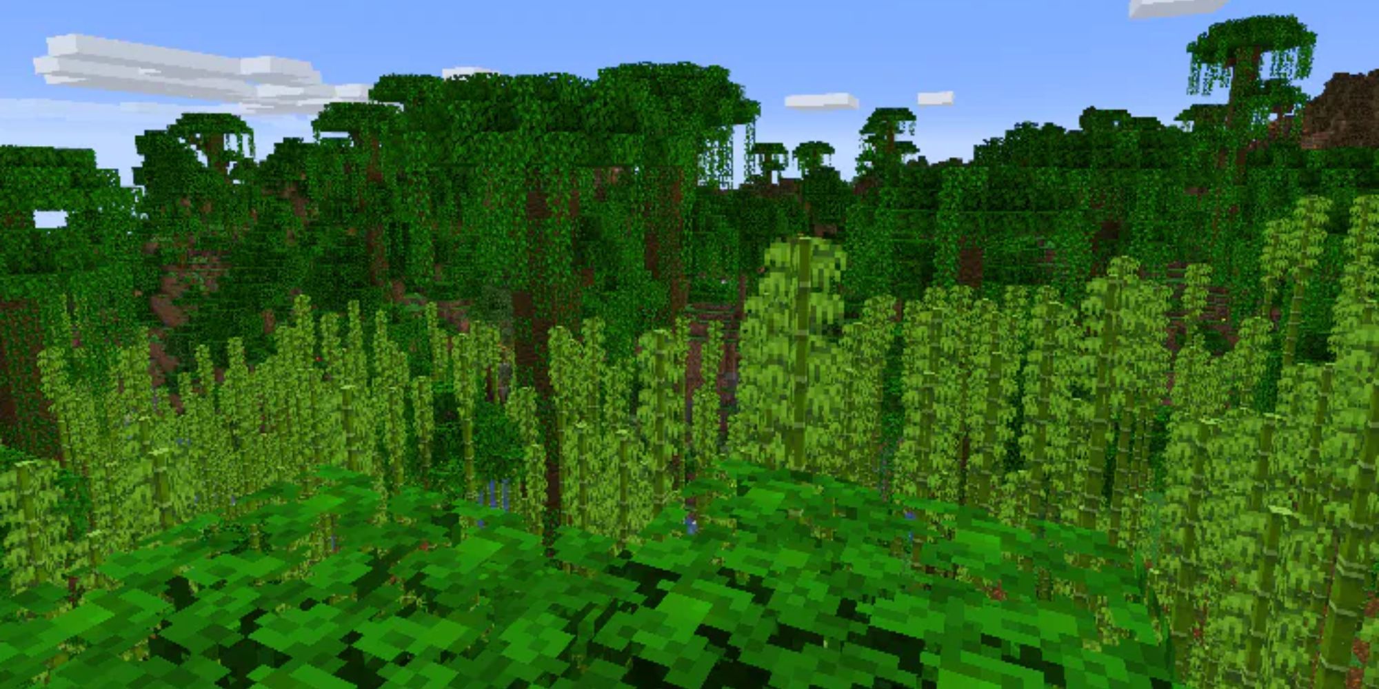 Minecraft Bamboo Jungle