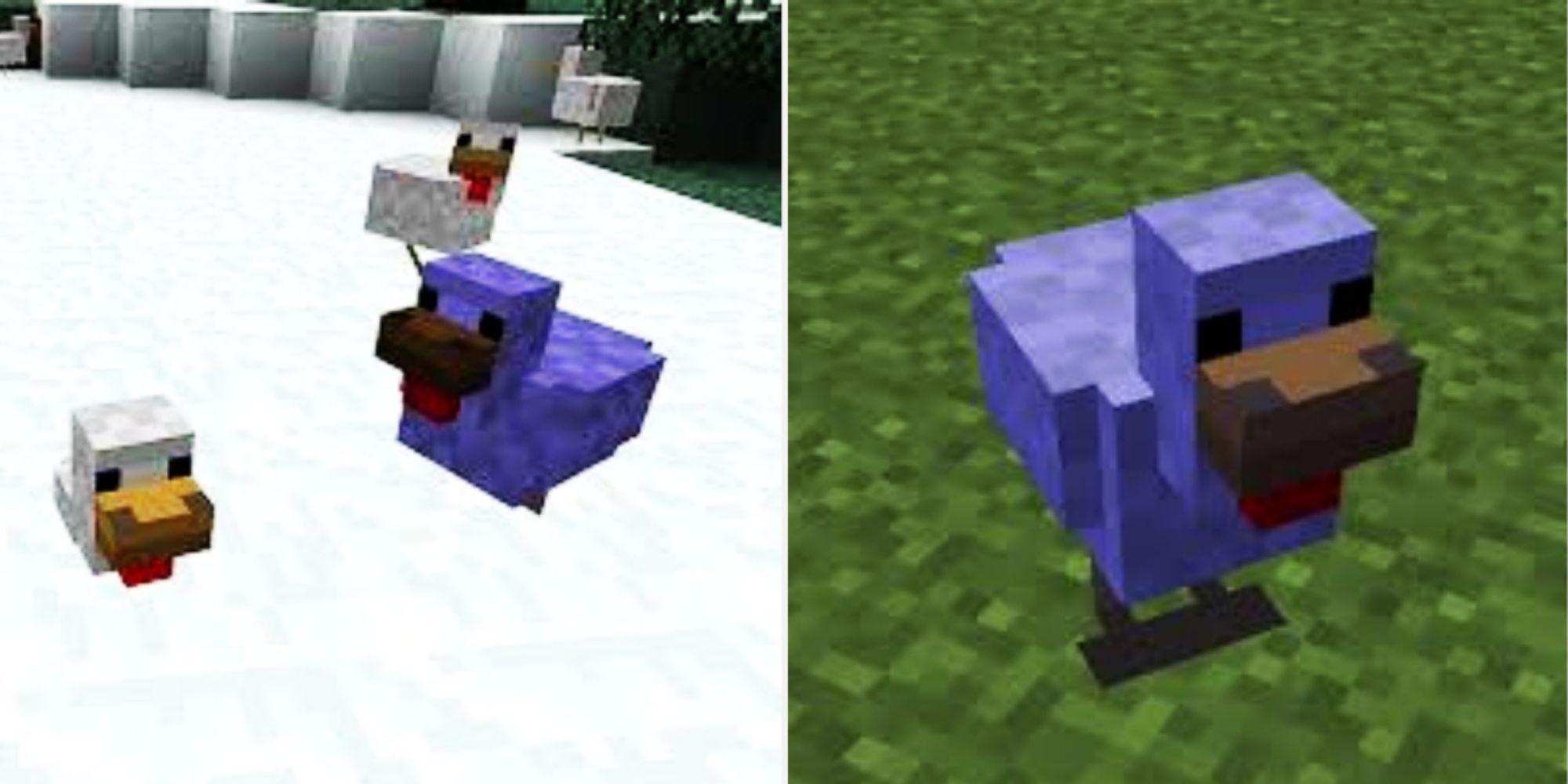 Minecraft Diamond Chickens