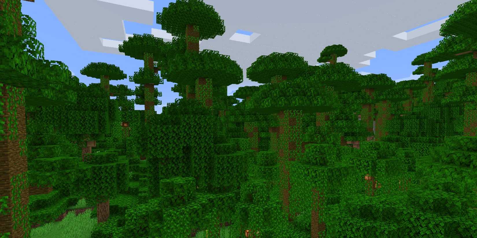 Minecraft Jungle
