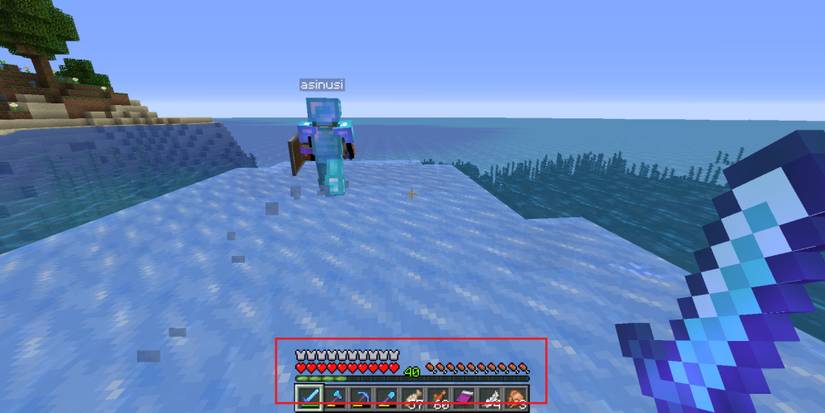 Minecraft Players Walking On Ice