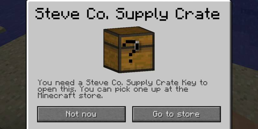 Minecraft Supply Crate