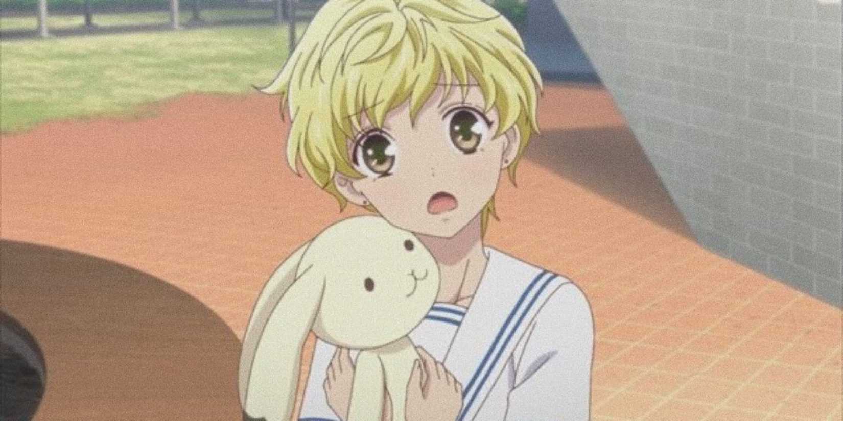 Holy Rabit Best Anime Rabbits