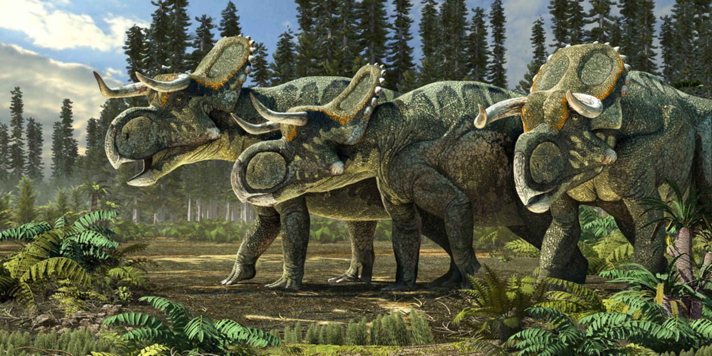 A Nasutoceratops