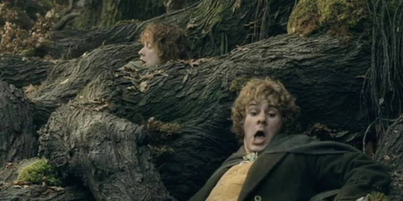 Old Man Willow crushing it