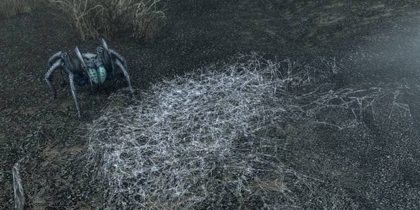 Pets of Skyrim Anniversary Edition Arachnia Spider