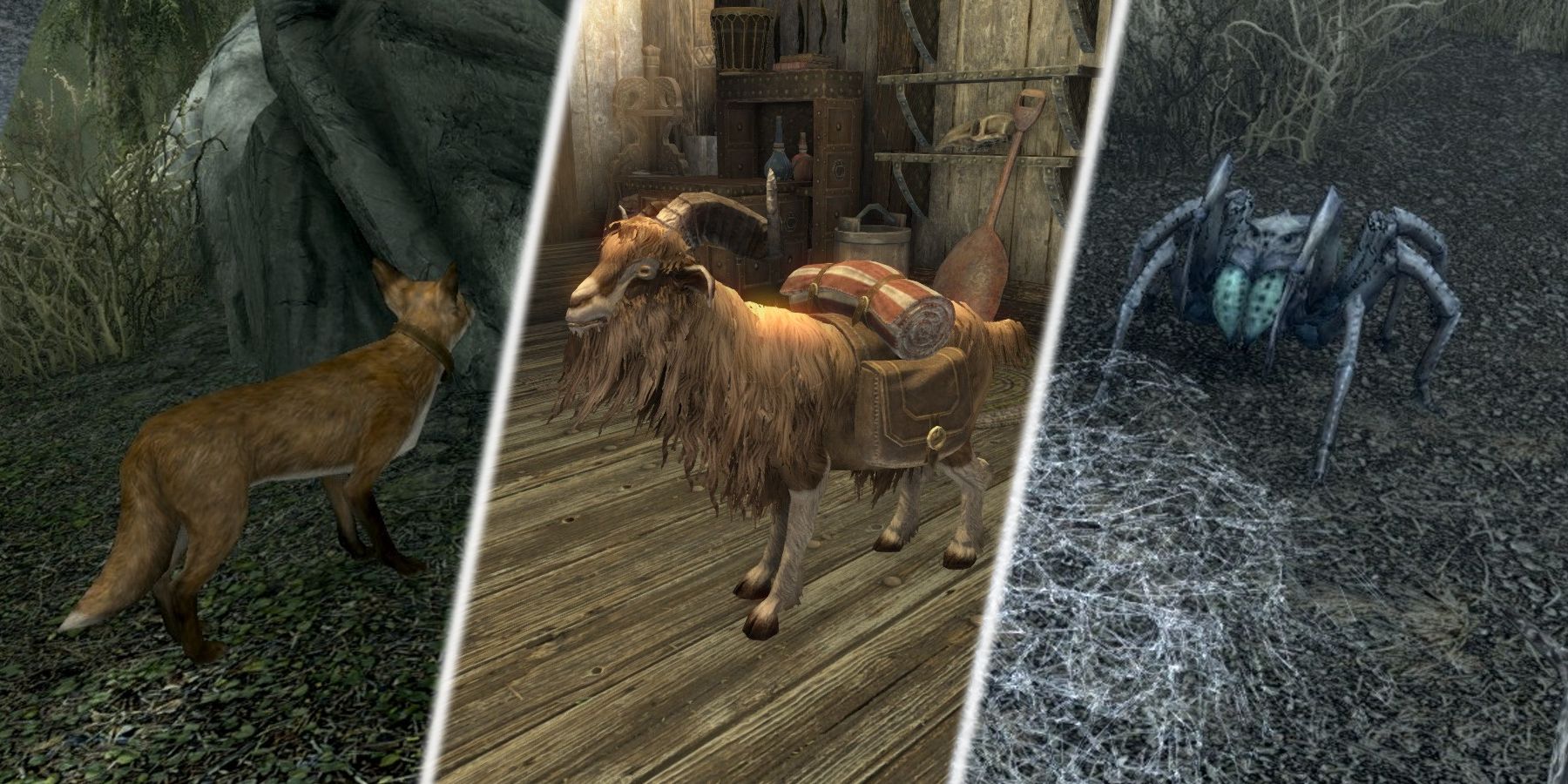 Skyrim: Where To Find The Pets of Skyrim (And What They Do)