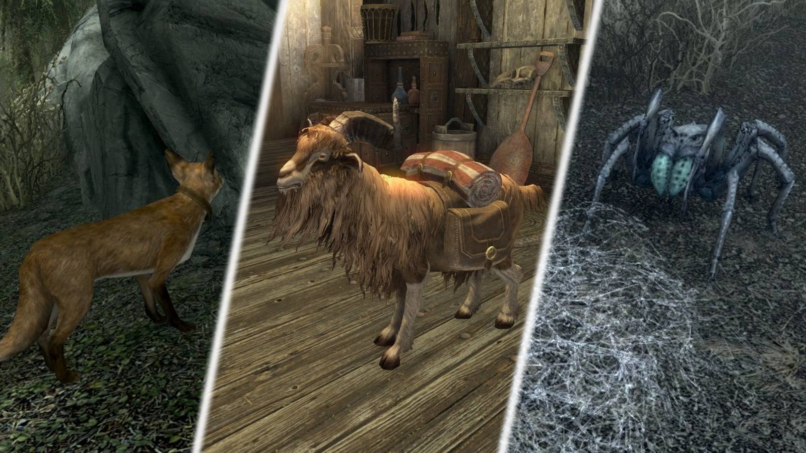 Pets of Skyrim Mod Guide Goat Spider Fox