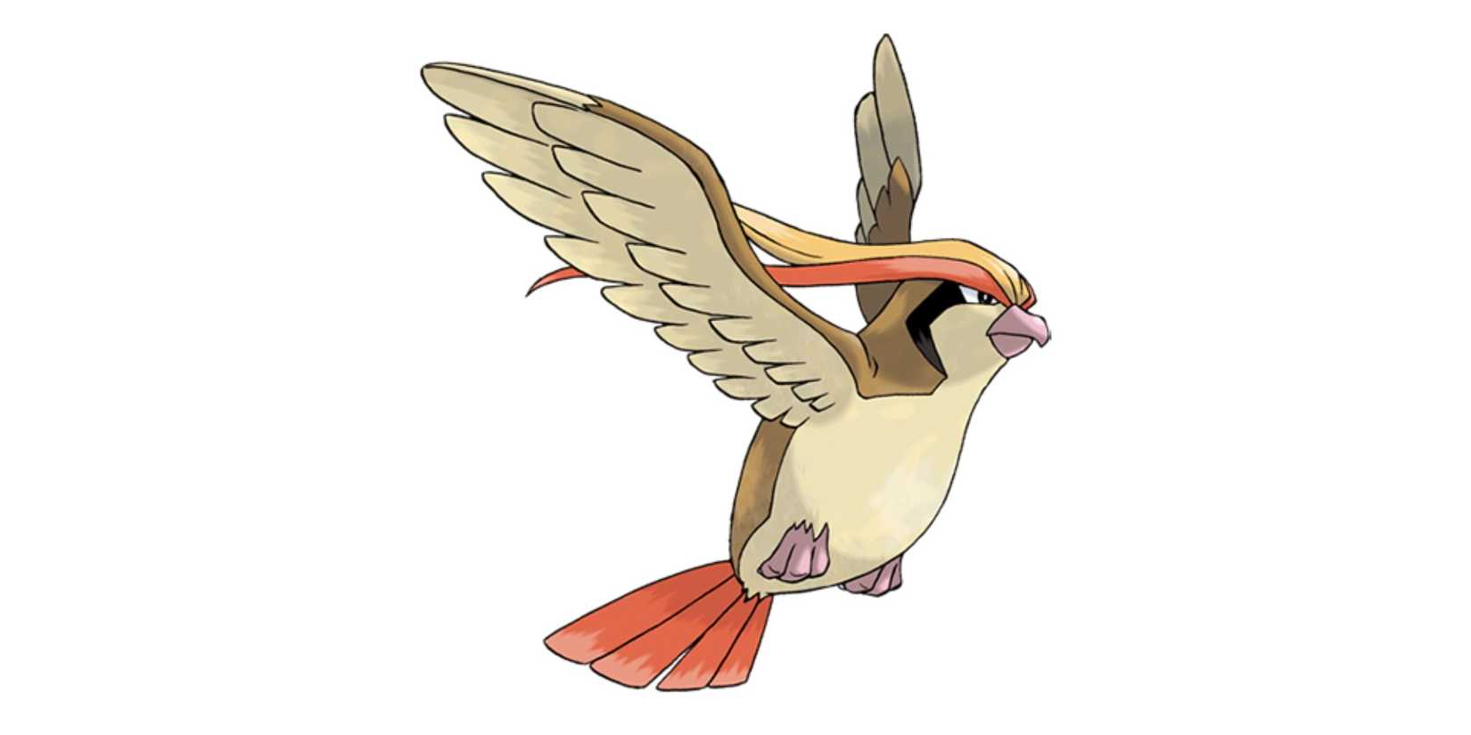 Pokémon GO - Pidgeot - Flying-type Pokémon