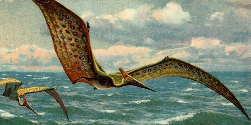 A Pteranodon
