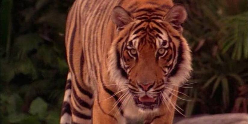 Shere Khan in The Jungle Book