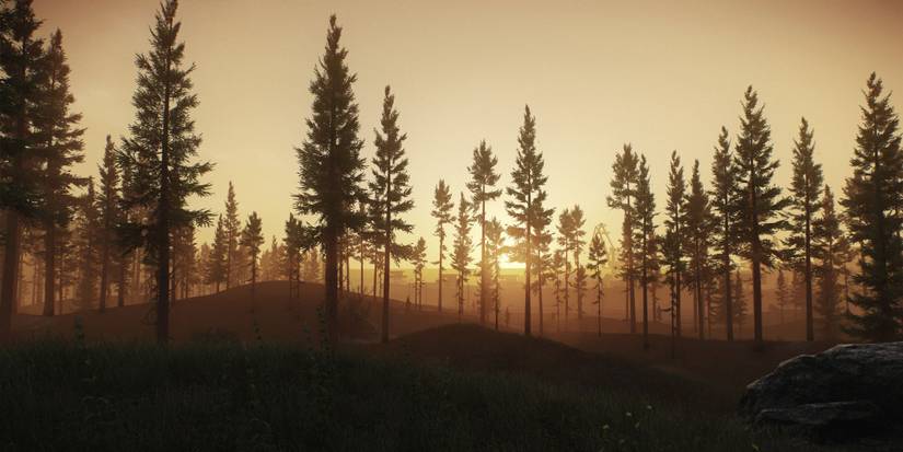 Shoreline trees in Escape from Tarkov