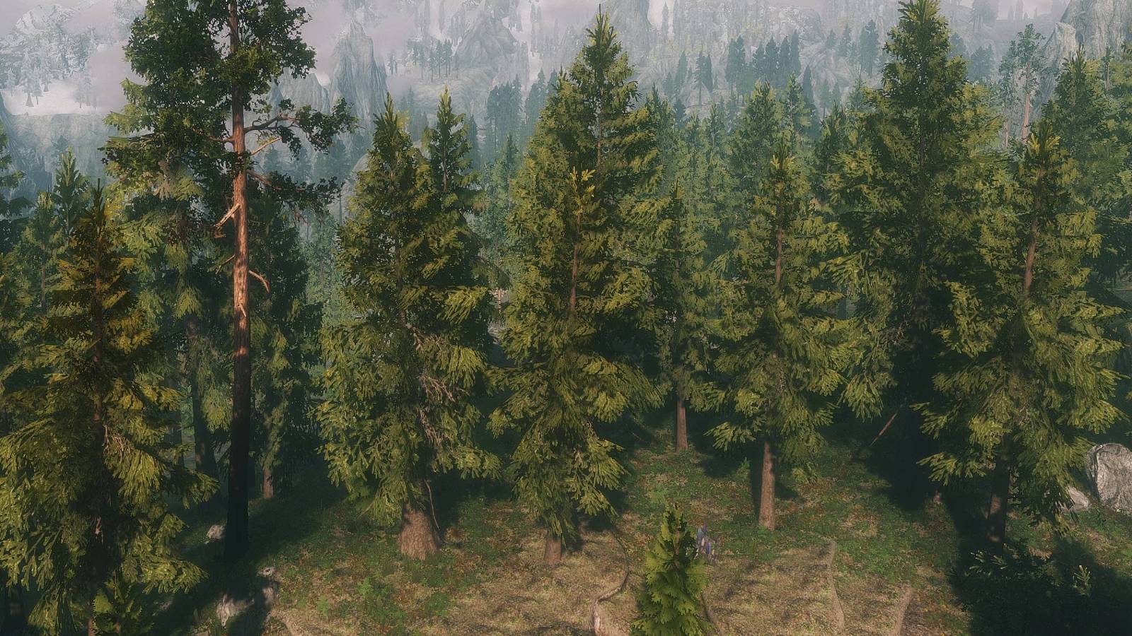 Skyrim Flora Overhaul Mod Installation Guide