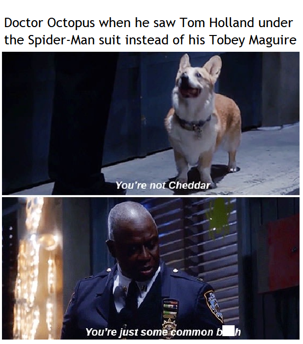 Spiderman-No-Way-Home-Meme--2