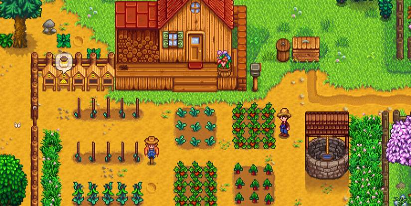 Stardew Valley Farm