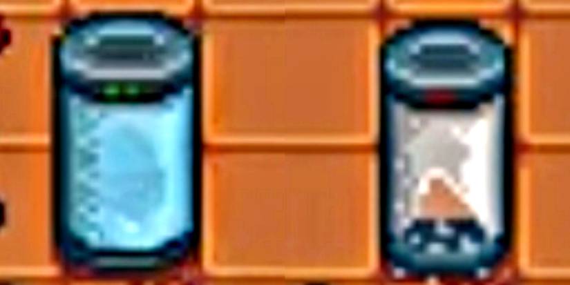 Strange Capsule and Empty Capsule in Stardew Valley
