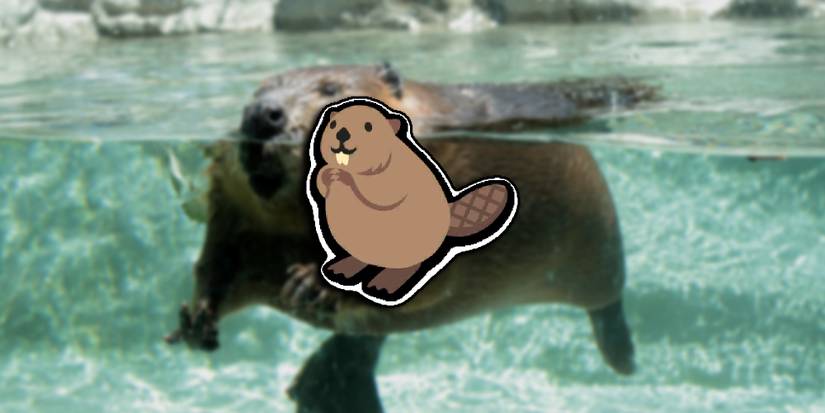 Super Auto Pets - PNG Of The Beaver Overlaid Over A Blurred Image Of An Actual Beaver In Water