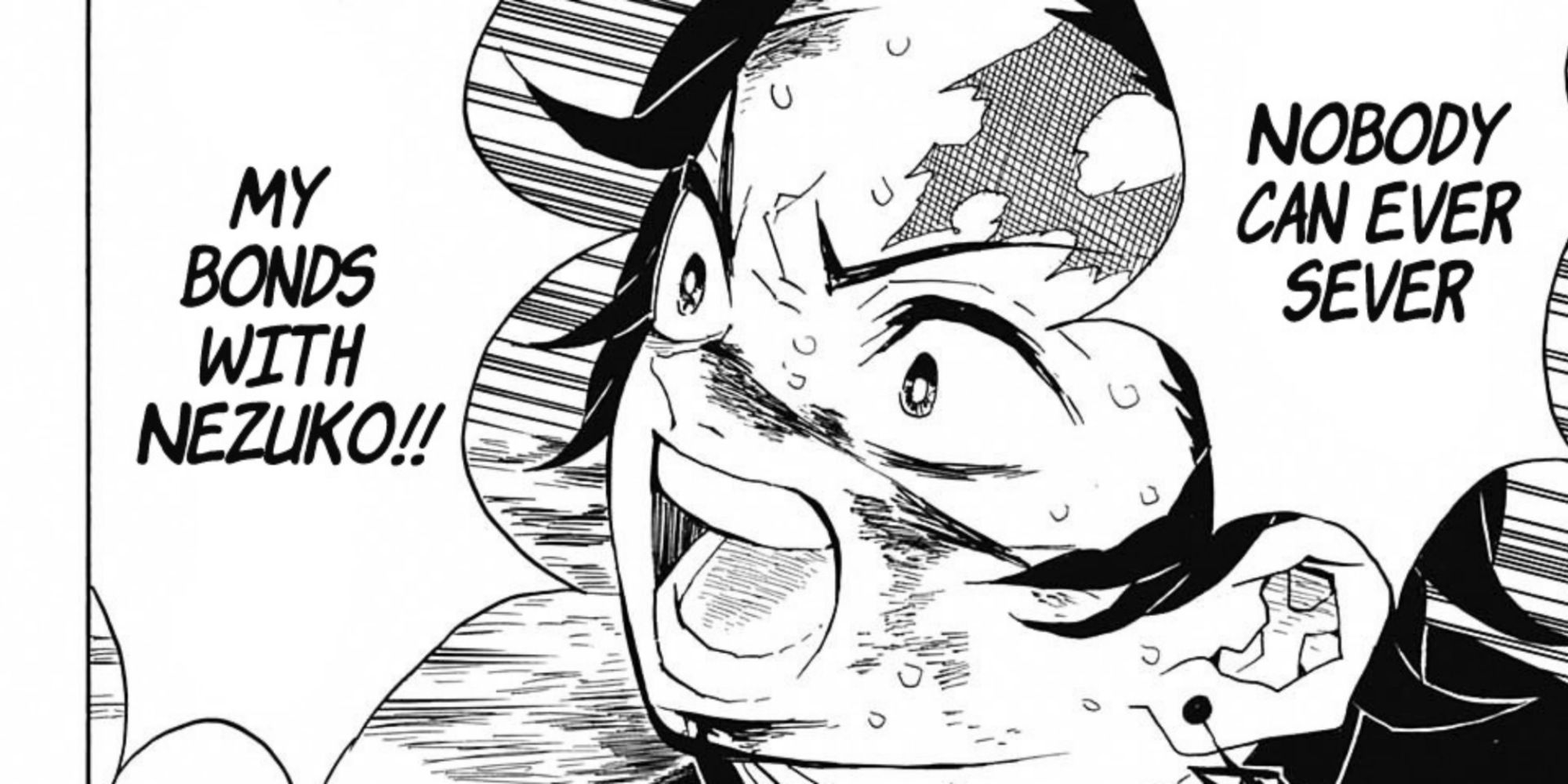 Demon Slayer: 10 Best Tanjiro Quotes