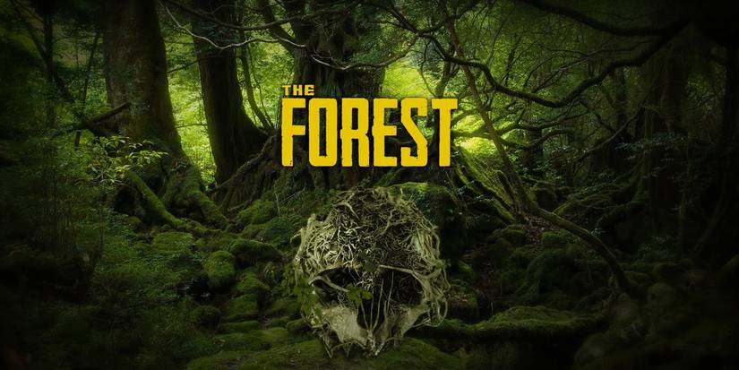 The Forest