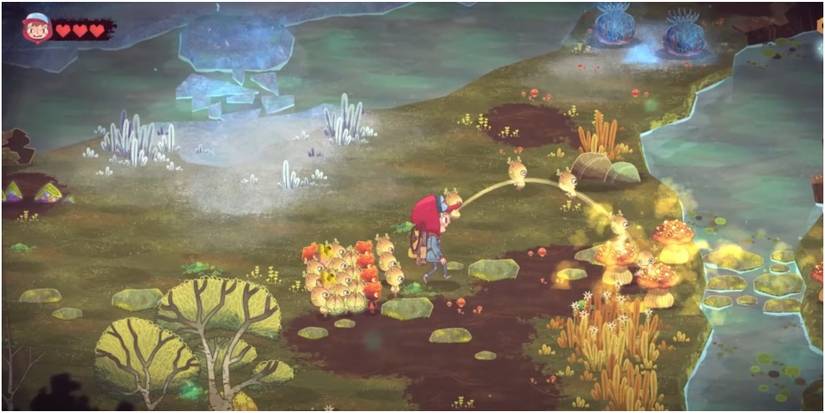 The Wild At Heart Throwing Companions At A Mushroom Patch