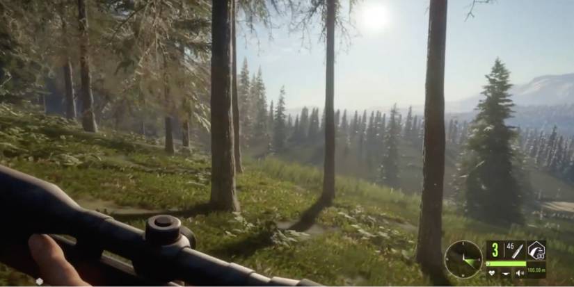 TheHunter: Call of the Wild - Player looks around for animals to kill with Coachmate Lever .45-70