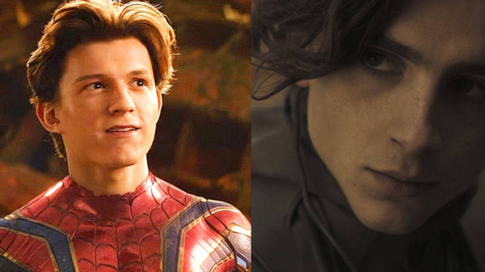 Tom Holland Spider-Man No Way Home Timothee Chalamet