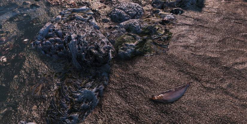 Vivid Fallout - All in One mod