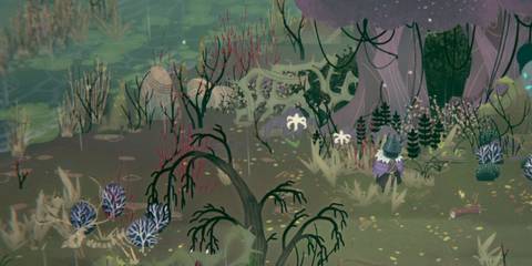 Wytchwood-Leech-Questions-Answers-1