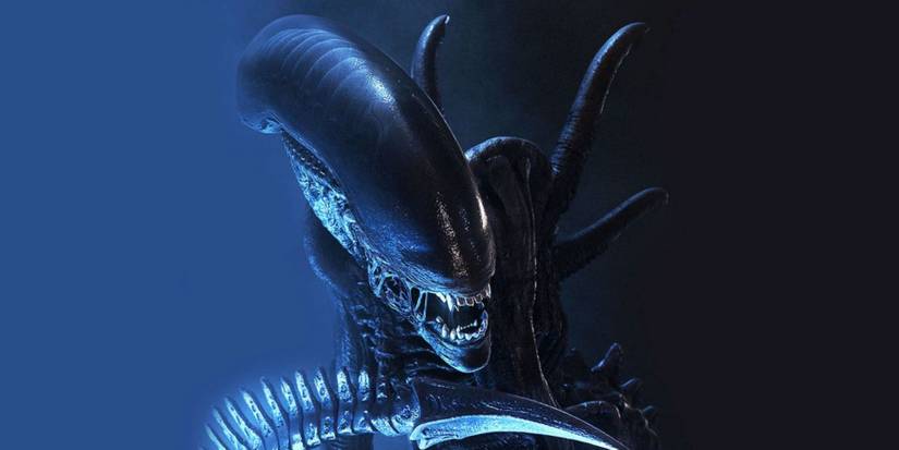 alien xenomorph