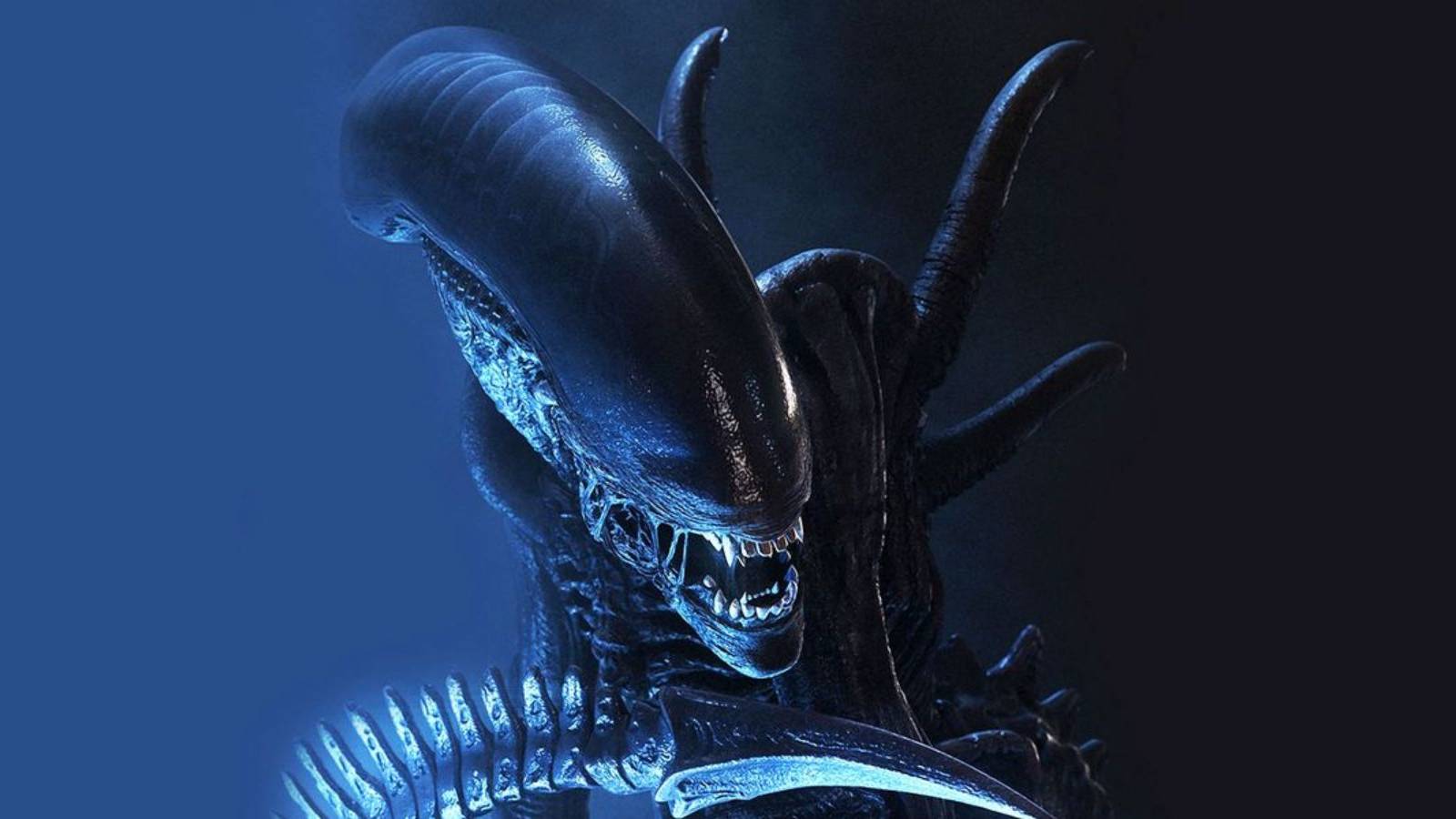 alien xenomorph