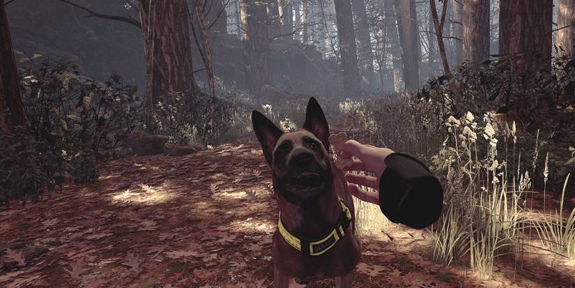 blair witch vr people can fly