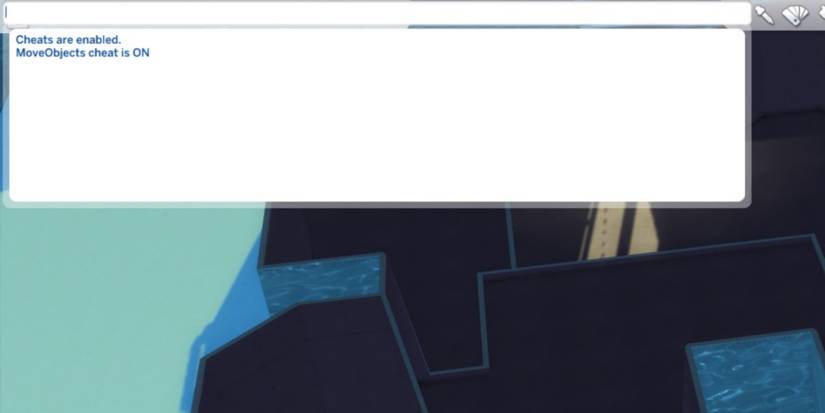 cheats are enabled after typing them in the cheat box