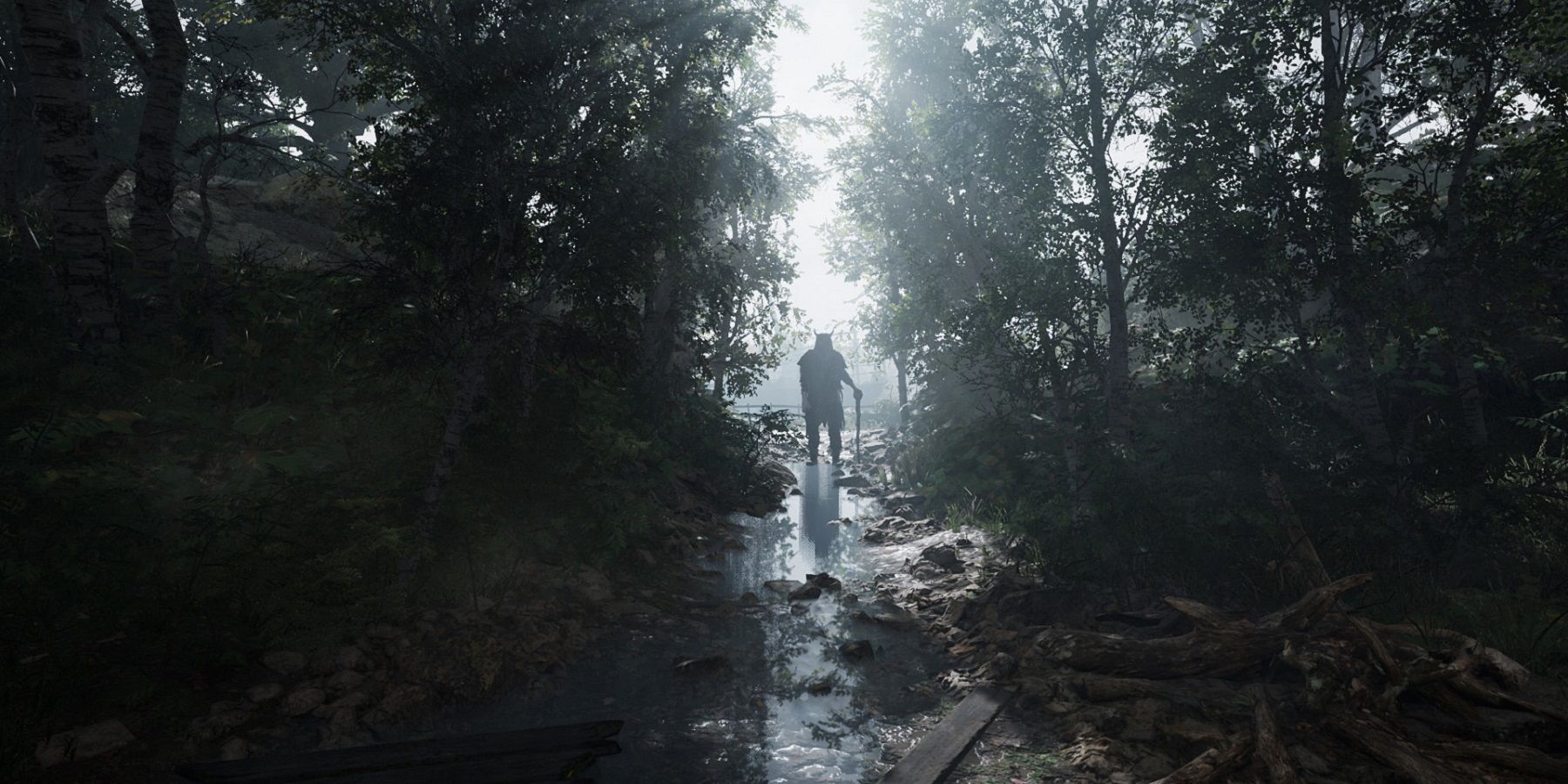 Image from Chernobylite showing a silhouette between a clearing in the trees.