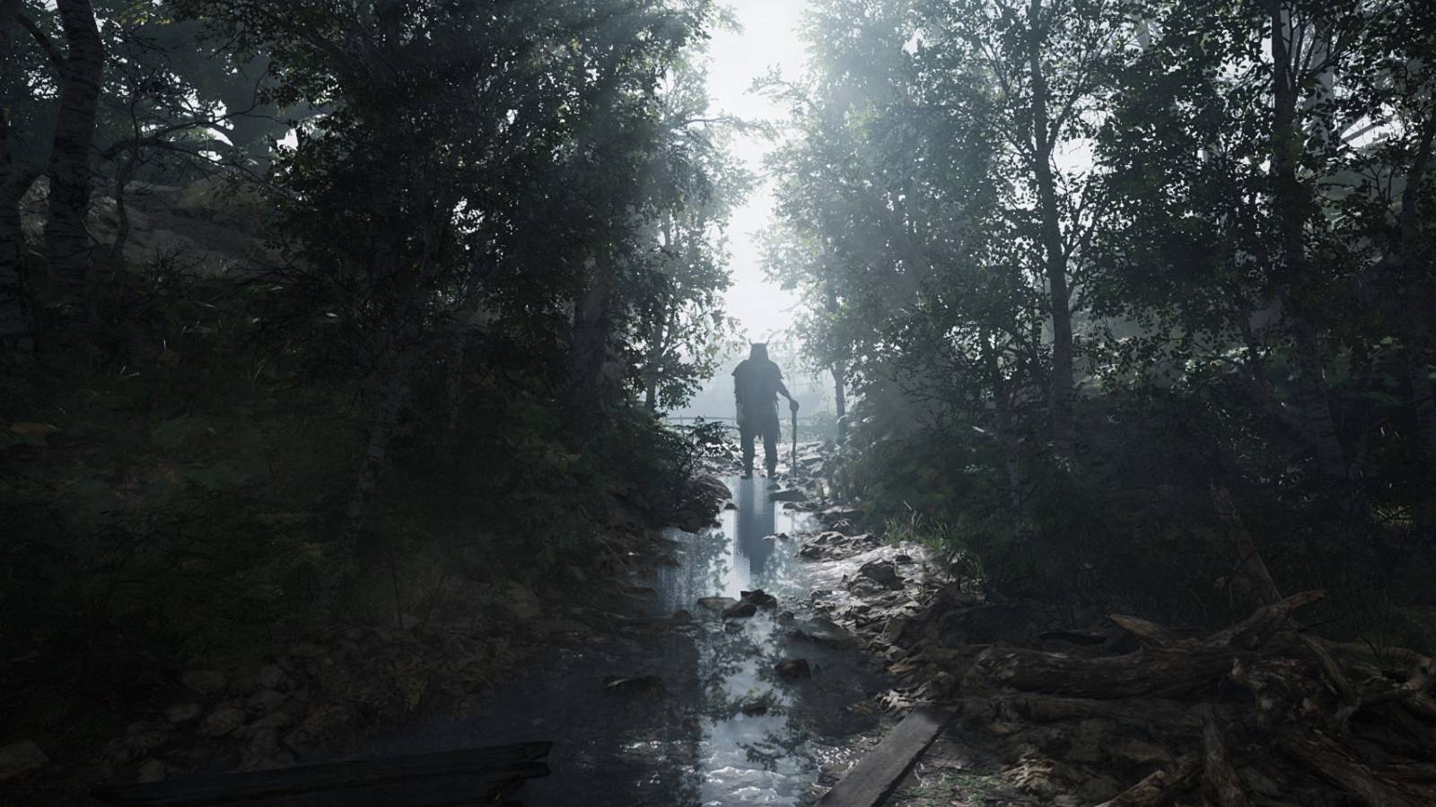 Image from Chernobylite showing a silhouette between a clearing in the trees.