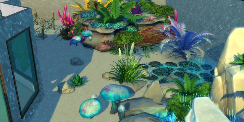 different kind of plans scattered around underwater