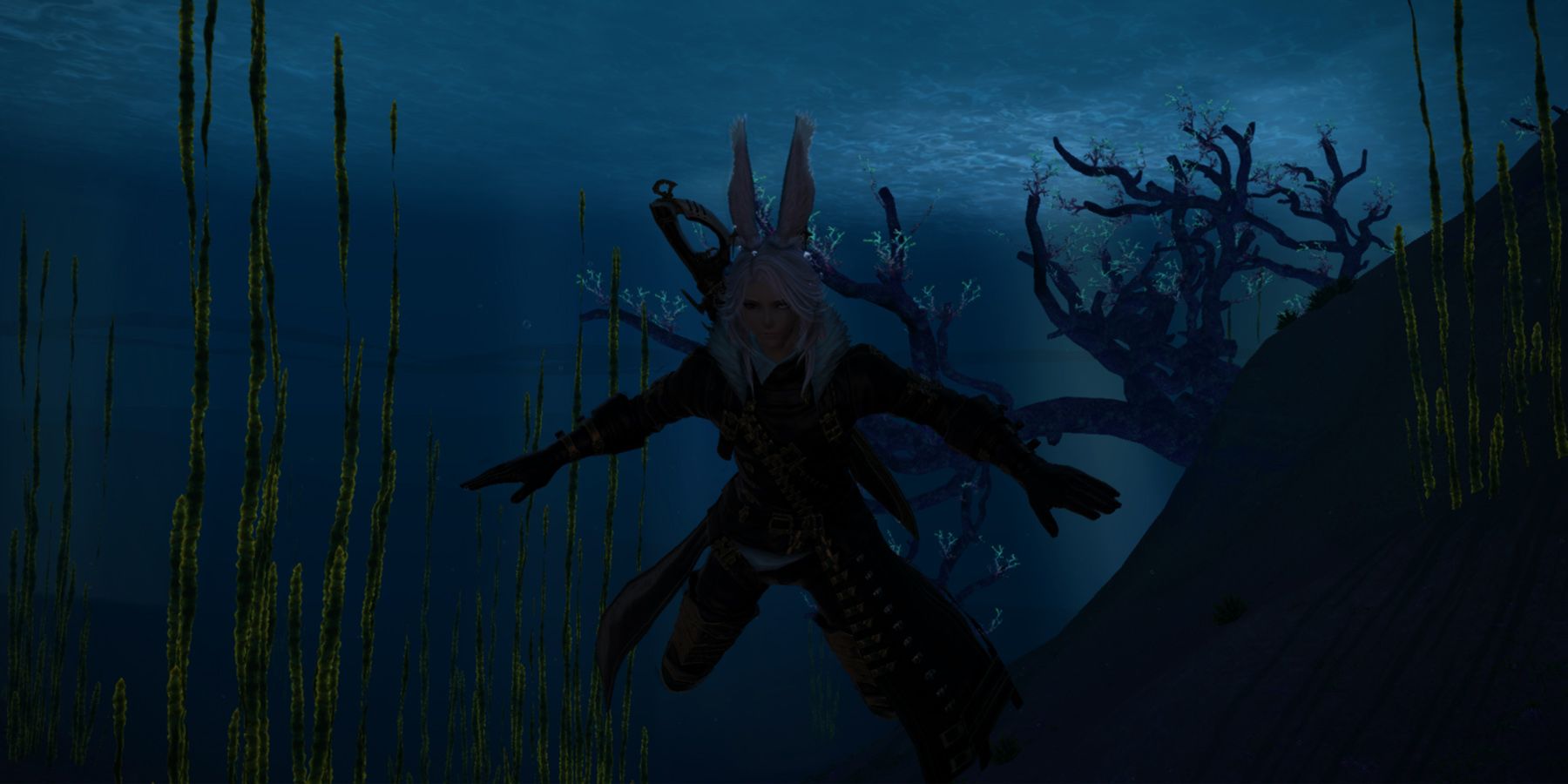 Final Fantasy 14 How to Dive Underwater