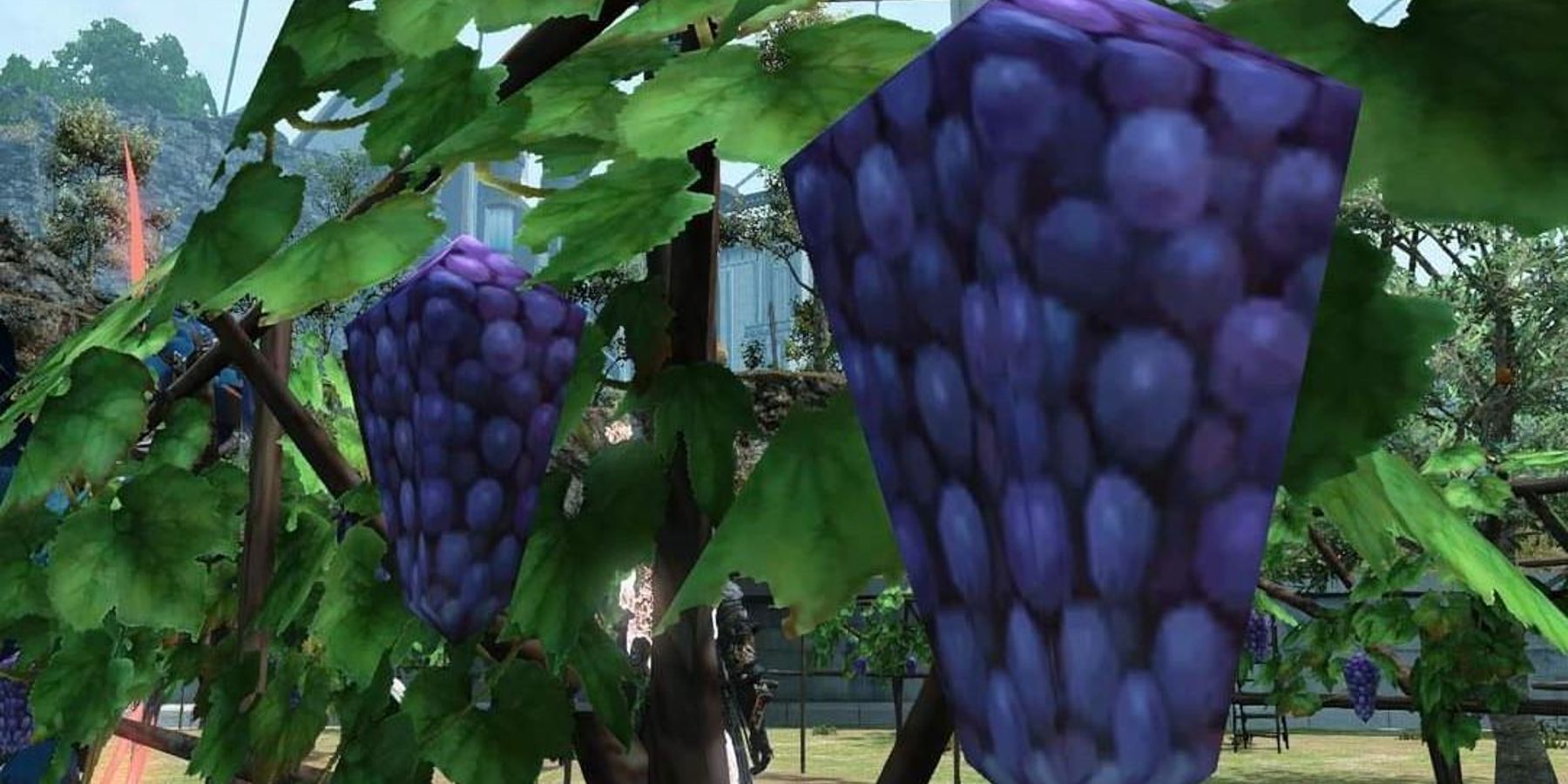 low polygon grapes before update