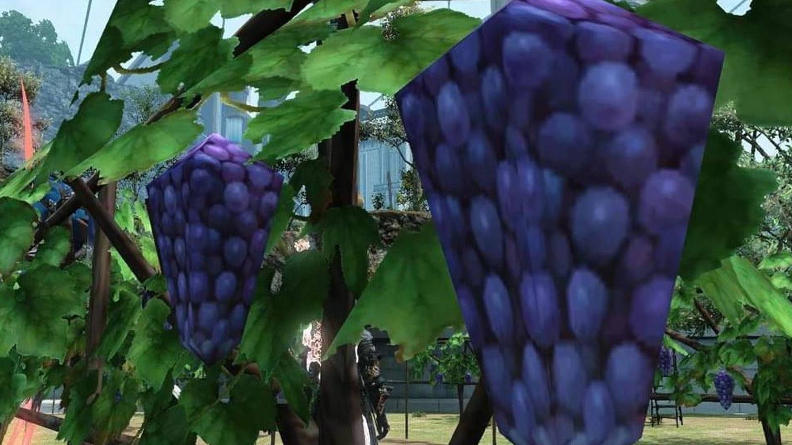 low polygon grapes before update
