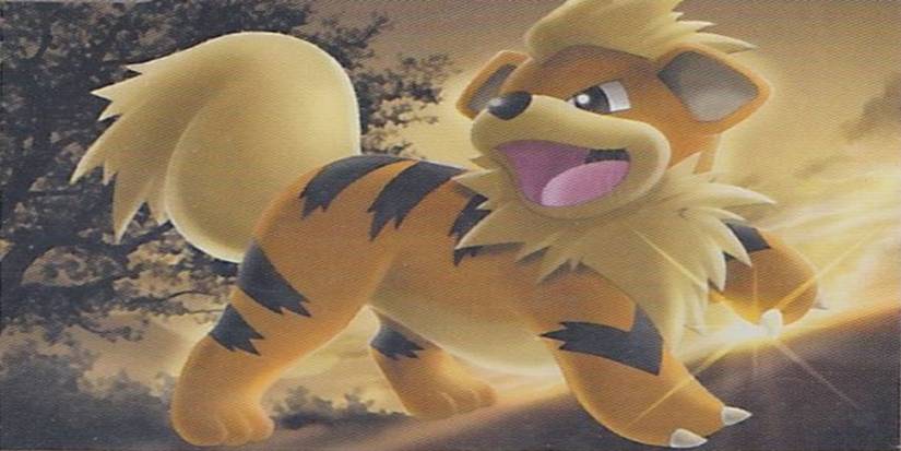 pokemon tcg growlithe
