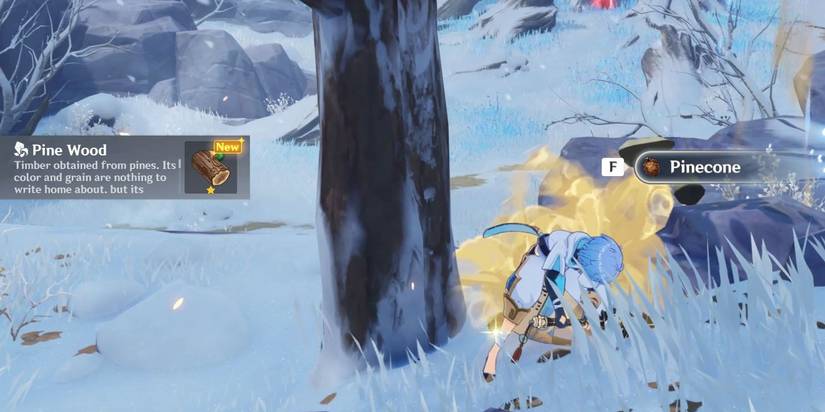 genshin impact pine wood chongyun collection